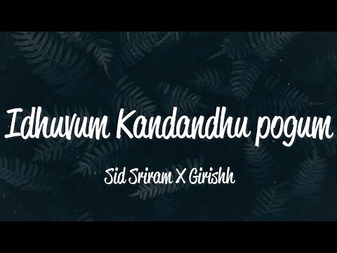 Dhoni - Thaavi Thaavi Pogum Tamil Lyric | Ilayaraja | Prakash Raj, Radhika