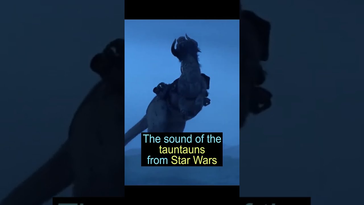 How they made the sound of the Tauntauns