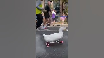 impossible pause game #2 #(duck running)