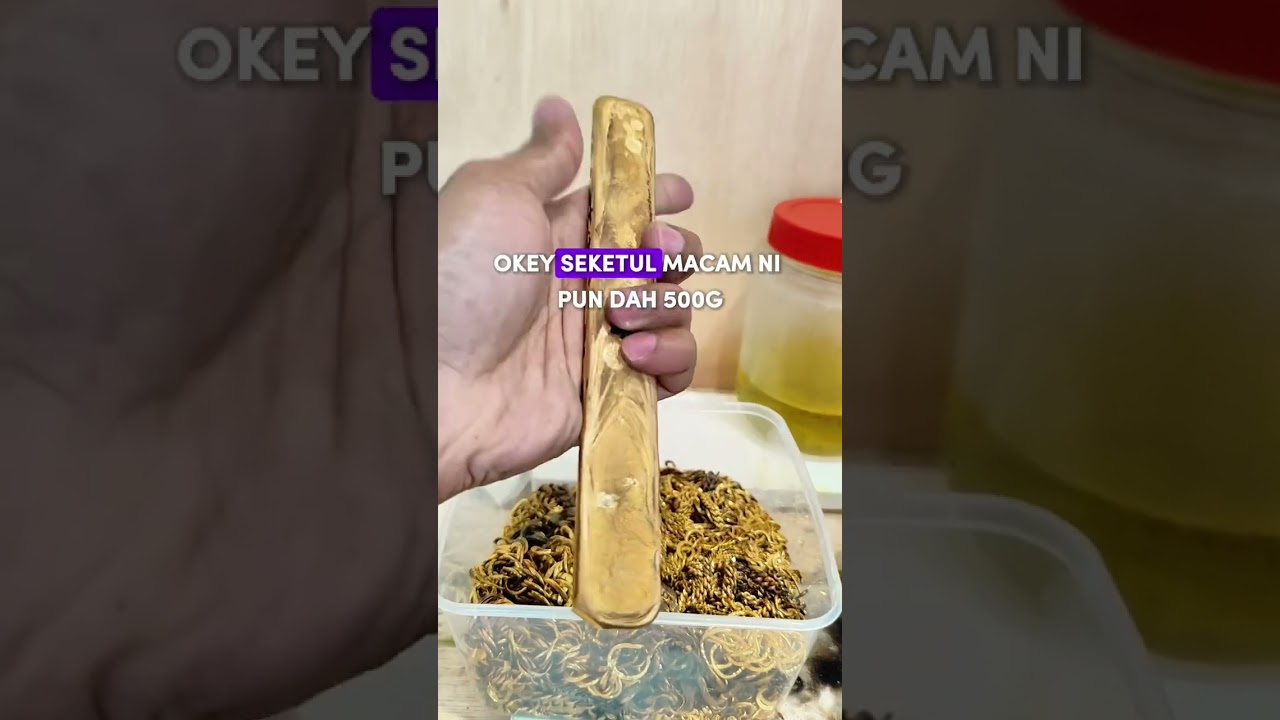 🔴 RM500 Ribu EMAS 