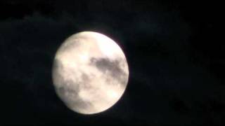 Video thumbnail of "Clair de lune - Django Reinhardt /Moonlight.m4v"