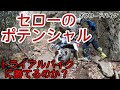 セローでハードエンデューロ？オフロードバイクでトライアルバイクに挑む！！SEROW225　奥宮トライアルパーク