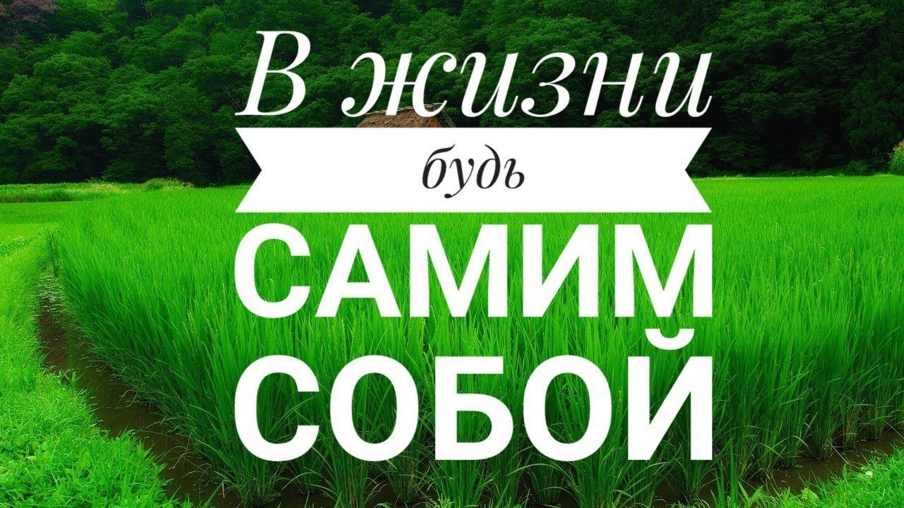 качество жизни