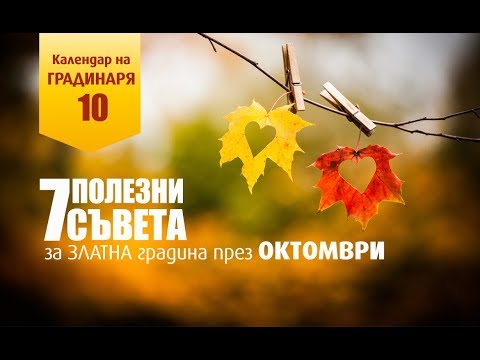 Видео: Какво да правите в градината и зеленчуковата градина през октомври