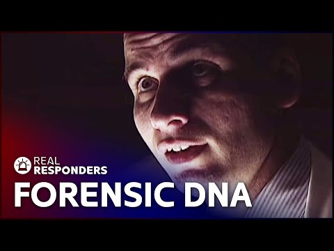 THE NEW DETECTIVES - FORENSIC INVESTIGATORS ANALYSE DNA SAMPLES