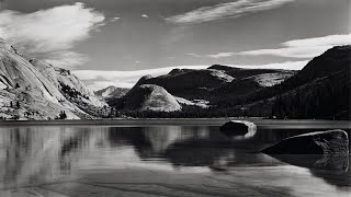 Photographs by Edward Weston