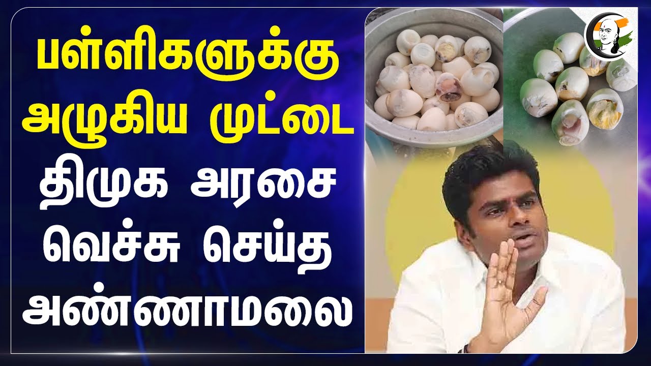 பள்ளிகளுக்கு அழுகிய முட்டை.. DMK Govtஐ வெச்சு செய்த Annamalai | School | Egg | Kanyakumari