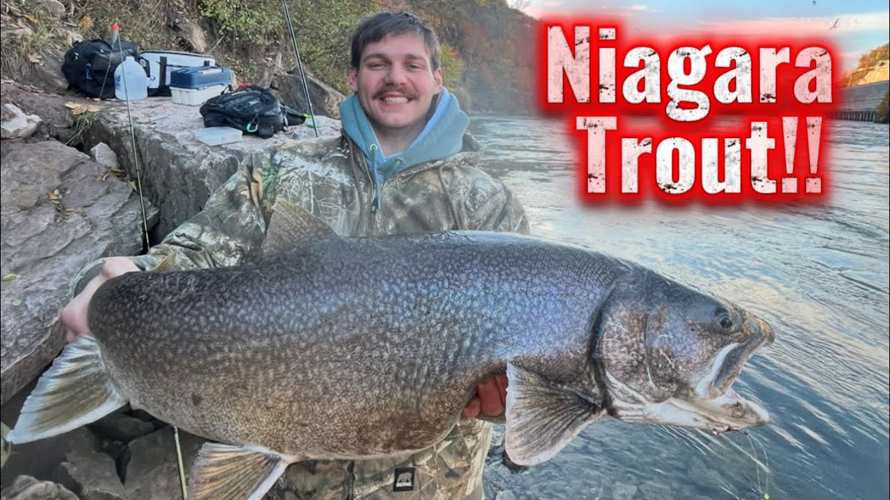 HUGE FISH! Lower Niagara River Campout/Trout fishing 