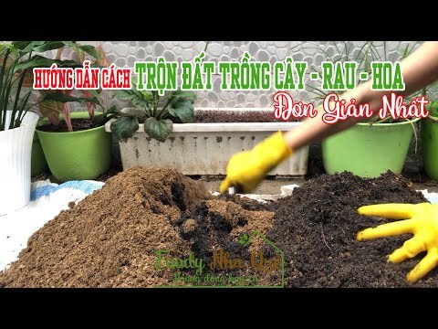 Video: Cách Chọn đất Trồng Cây Phù Hợp