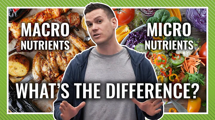 Macronutrients vs Micronutrients: What's Most Important When Dieting?