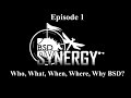 BSD Synergy Episode 1: Who, What, When, Where, Why BSD?