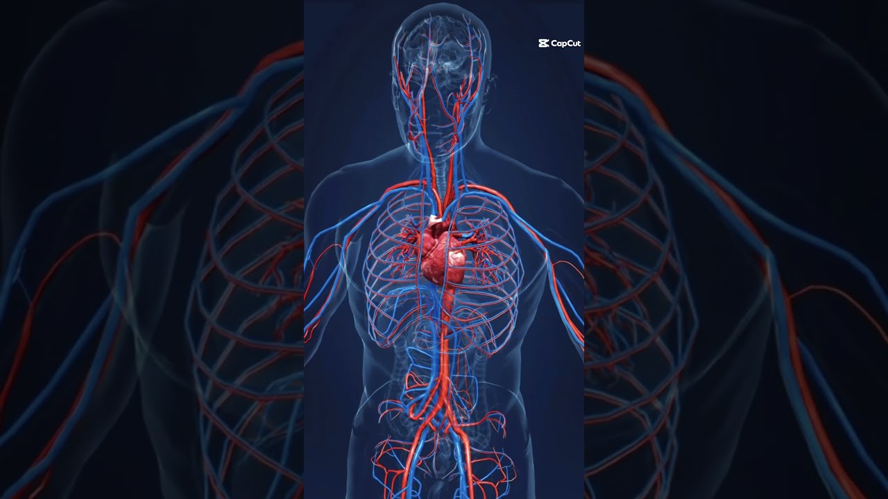 5 Powerful Food Combos That Heal Your Body Naturally