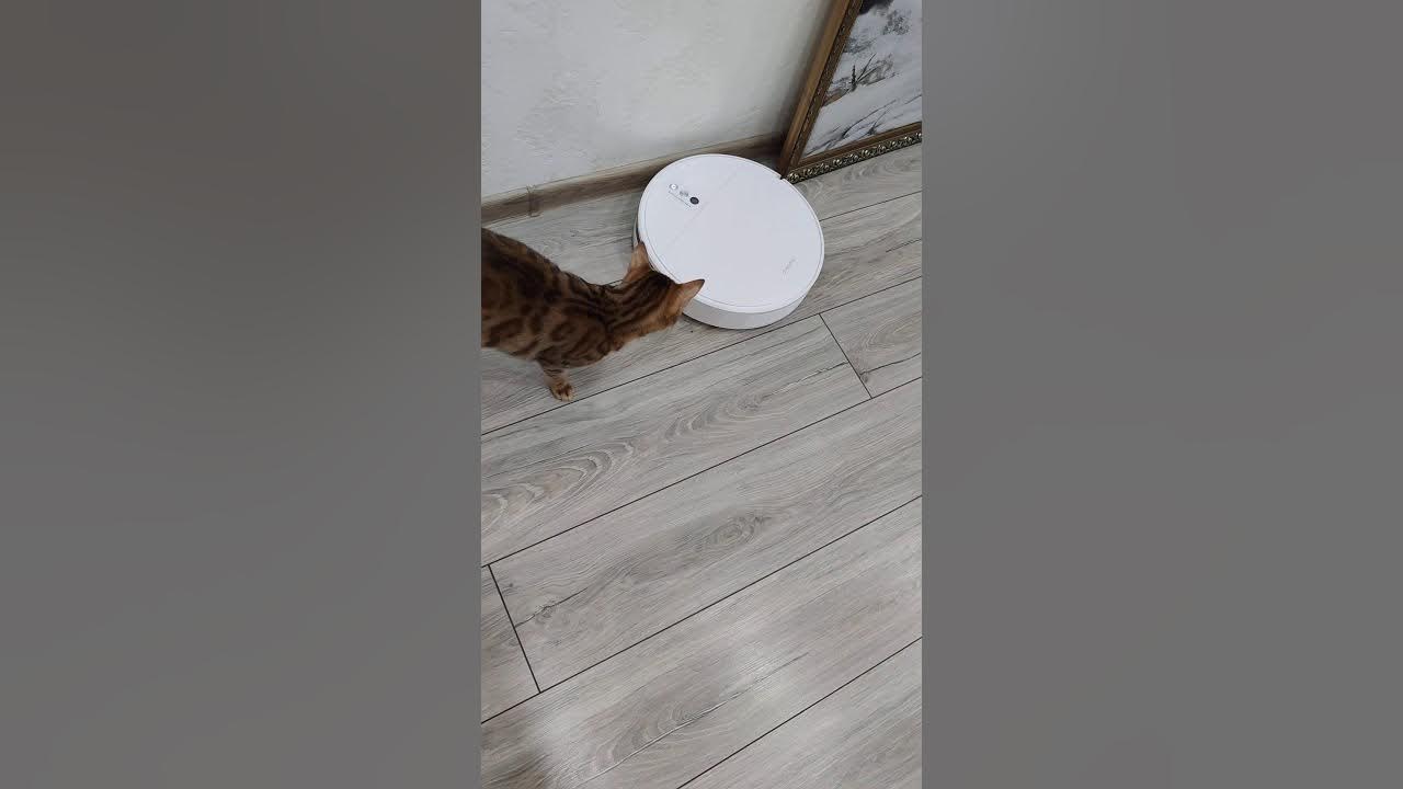 Тестируем робота полесоса - YouTube