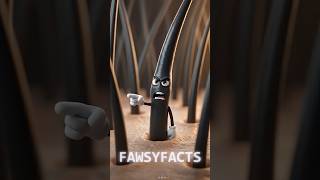 🚨 Stop Guessing Hair Oils! Do This Porosity Test Instead 🤯 #shorts