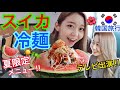 【韓国旅行】夏だ!スイカだ!冷麺だ!冷麺食べに行ったらテレビに出ることになった笑う【モッパン】