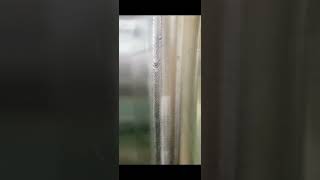 45406af78d229978478379e21262b5c1