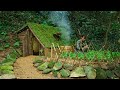 Build an underground hut with grass roof  clay fireplace make vegetable garden catch big catfish