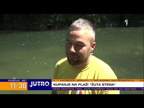 PRVA TV -