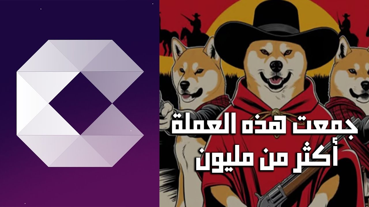 مشروع Shiba Shoot Out يجمع مليون دولار