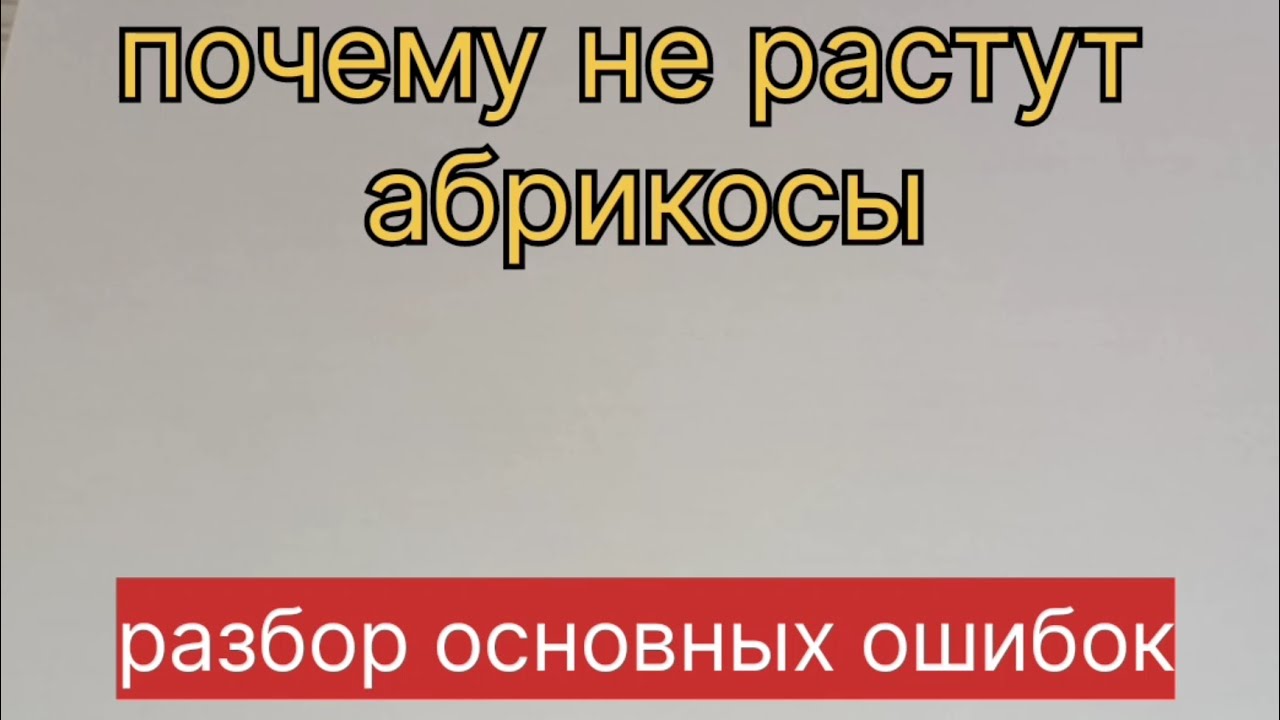 Почему не растут абрикосы. Разбор основных ошибок