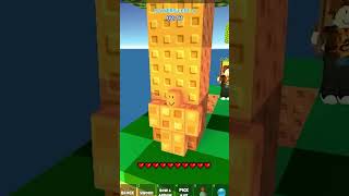 Skywars Camouflage Trolling #roblox #memes #funny