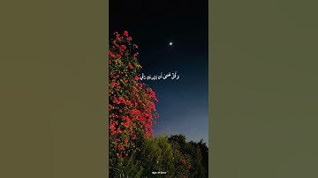 واذكر ربك إذا نسيت وقل عسى أن يهدين ربي | من سورة الكهف | محمد صديق المنشاوي