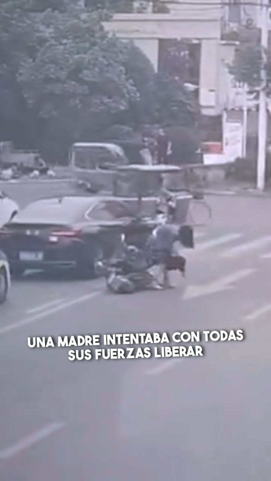 ¡Un héroe inesperado salva al niño en segundos! ??