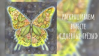 видео: РАСКРАСКА  картинка: РАСКРАСКА