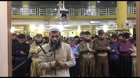 سامي عبدالرحمن الكردي سورة ق