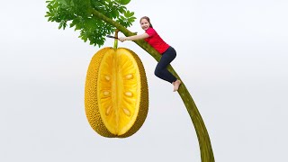 Download Lagu REWIND TIMELAPSE – 7 Days Harvesting Sweet Jackfruit In Garden Go to the Market Sell | Farm Life MP3 Download Lagu REWIND TIMELAPSE – 7 Days Harvesting Sweet Jackfruit In Garden Go to the Market Sell | Farm Life MP3