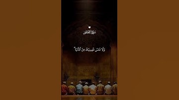 سورة القصص ماهر المعيقلي #اسلاميات #بدر_المشاري
