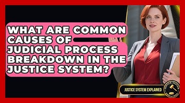 What Are Common Causes of Judicial Process Breakdown in the Justice System?