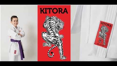 Brown Belt (3rd Kyu to 2nd Kyu) Kihon