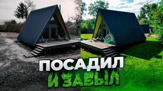 ТОПОВЫЙ ГАЗОН БЕЗ УХОДА. Пошаговая инструкция посадки газона