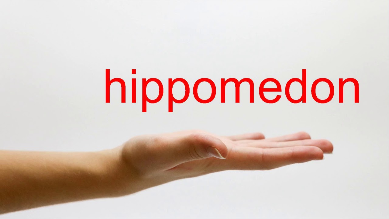 How to Pronounce hippomedon - American English