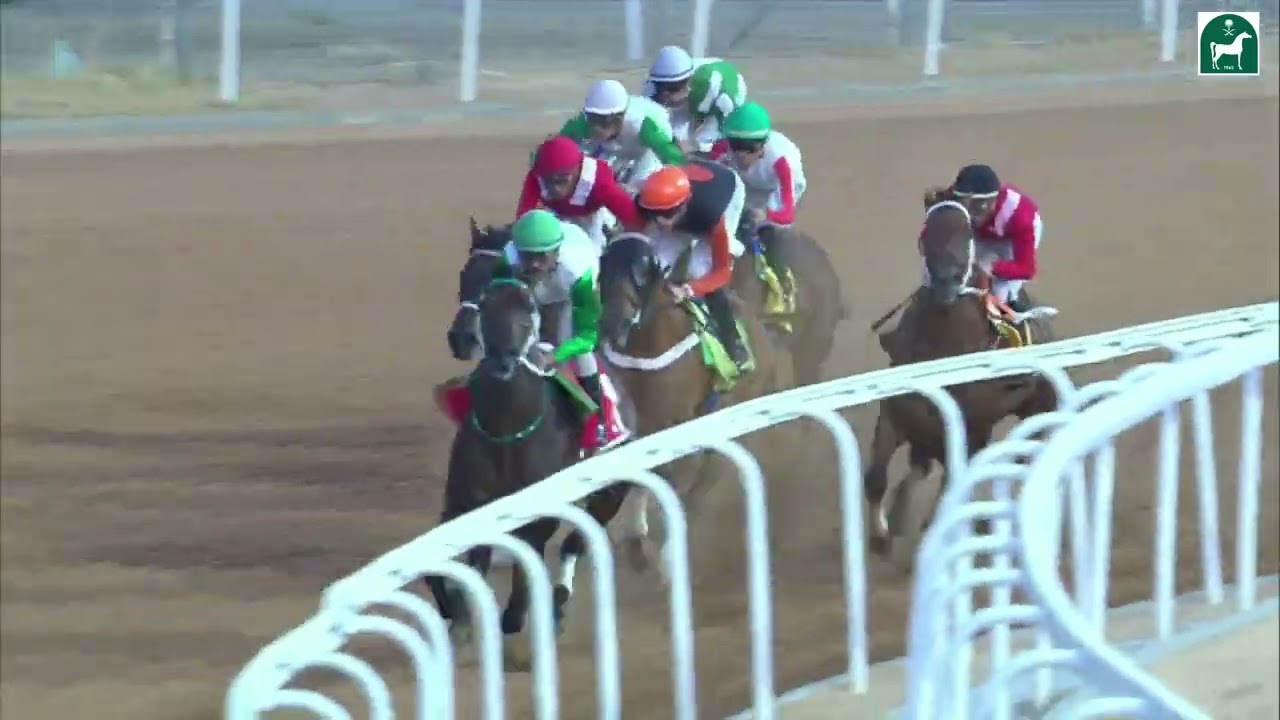 الشوط الثامن للحفل 2 بموسم سباقات الطائف