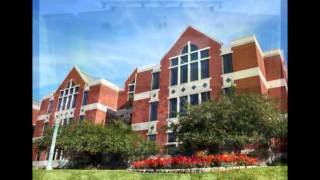 EDUCATION ONLINE 2