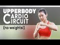 Lose Flabby Arms Upperbody Cardio Circuit (No Weights) | Joanna Soh