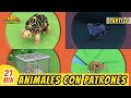 Animales con Patrones Episodio Compilación [Parte 2/2] (Español) - Leo, El Explorador - Familia