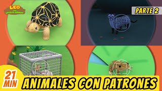 Animales con Patrones Episodio Compilación [Parte 2/2] (Español) - Leo, El Explorador - Familia