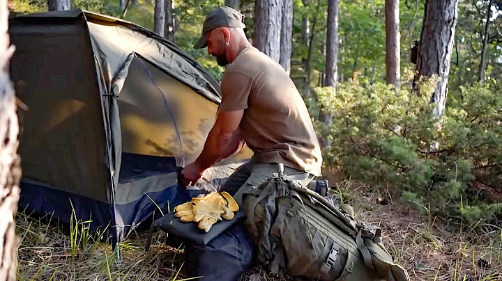 Solo Tent Camping in the Deep Forest – Peaceful Overnight Escape - Ten Bushcraft