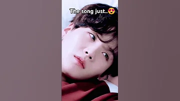 How Beautiful And Calm The Song Is Suga 