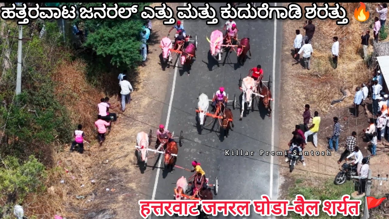ಹತ್ತರವಾಟ ಜನರಲ್ ಎತ್ತು ಮತ್ತು ಕುದುರೆ ಗಾಡಿ ಶರತ್ತು || हत्तरवाट जनरल घोडा-बैल शर्यत 🔥🚩#bailgadasharyat 