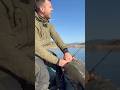 Griechenland-Waller 🇬🇷 Die Jagd beginnt! 🐋 #fishing #catfish #outdooradventure #pesca #bigfish
