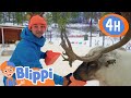 Blippi Visits the Reindeer Farm 🦌 4 Hours of Wintery Videos! ❄️ | Preschool Learning | Moonbug