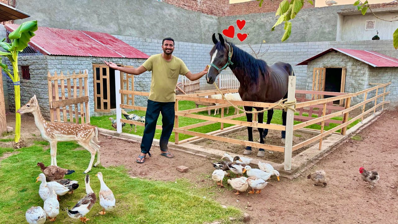 Welcome Hogea Cassie Ka New House Main😍Bht Piari Lg Rhi Hai❤️