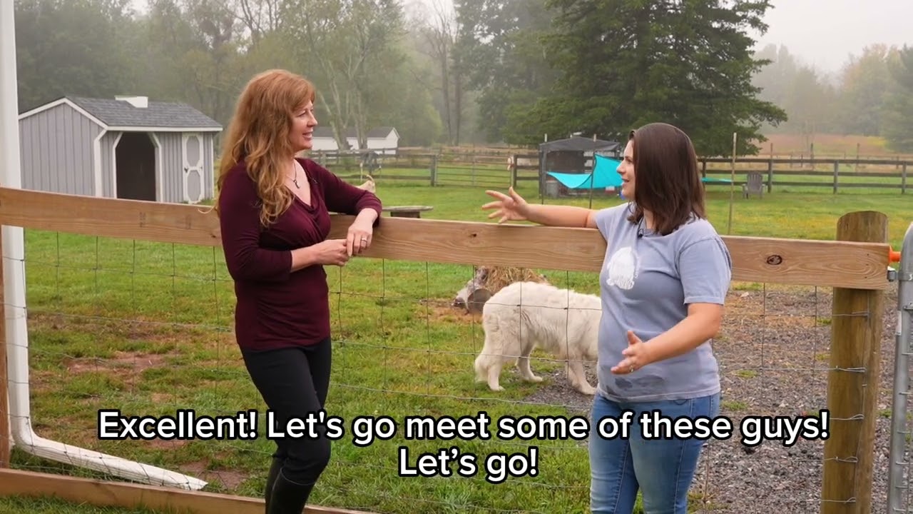 Henry’s Haven Farm Animal Sanctuary in Pennington NJ