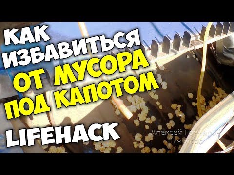 КАК ИЗБАВИТЬСЯ ОТ ЛИСТЬЕВ И МУСОРА ПОД КАПОТОМ девятки и не только - ЛАЙФХАК