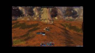 Mount Hyjal Exploration - Instanced Felwood & Winterspring