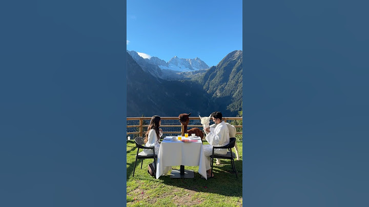 Morning with Alpacas 🫶🏻🤍 | Italy trip | Unaisa Subair